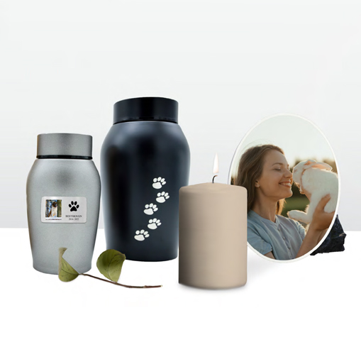 Plates for animals Plates for animals